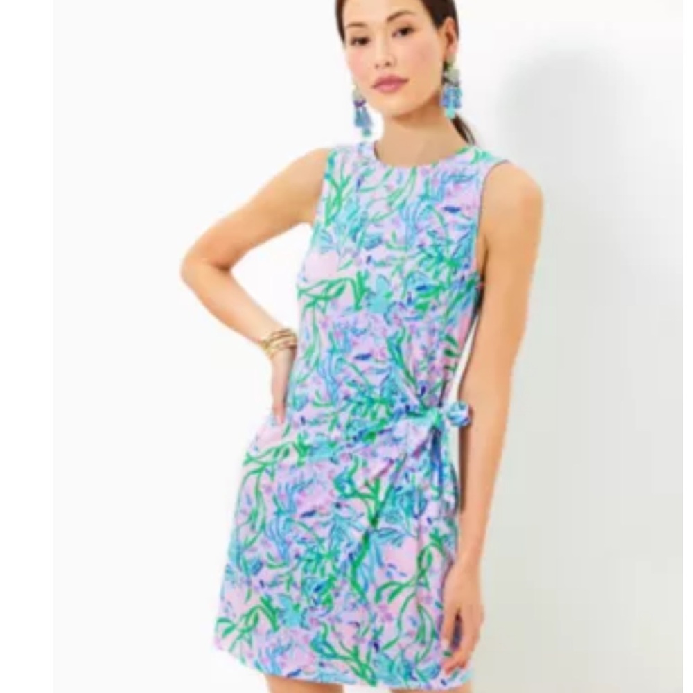 Lilly Pulitzer Bryson Dress